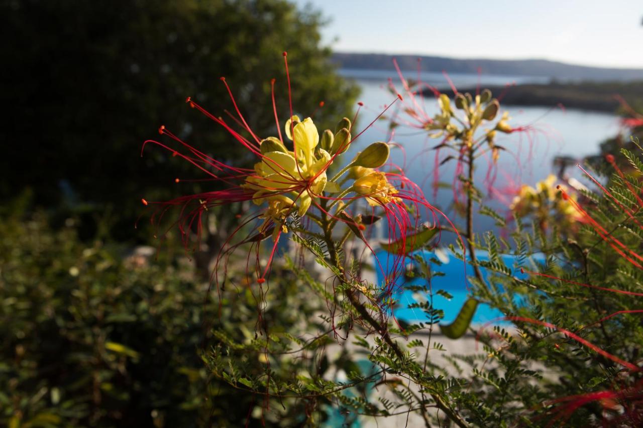 Resort Haus Toma Цезарица Екстериор снимка