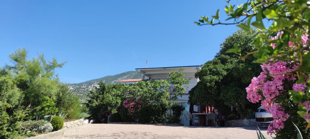 Resort Haus Toma Цезарица Екстериор снимка