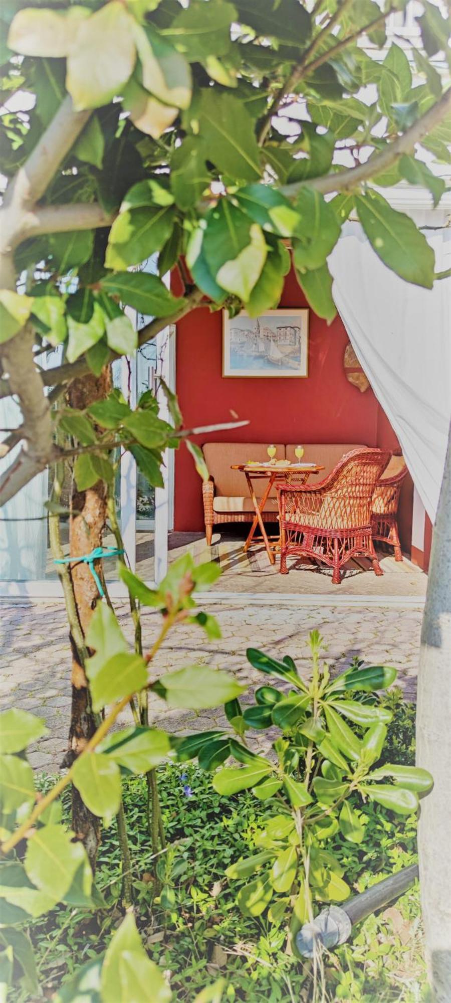 Resort Haus Toma Цезарица Стая снимка