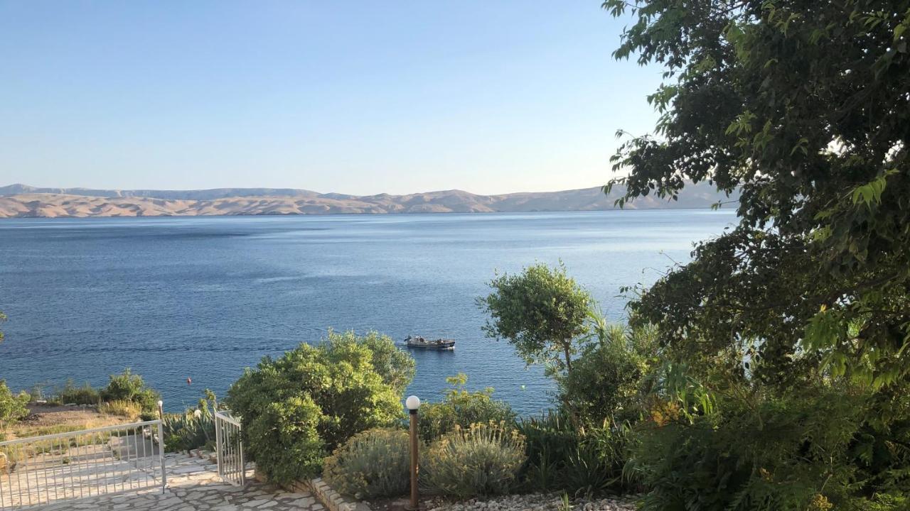 Resort Haus Toma Цезарица Екстериор снимка