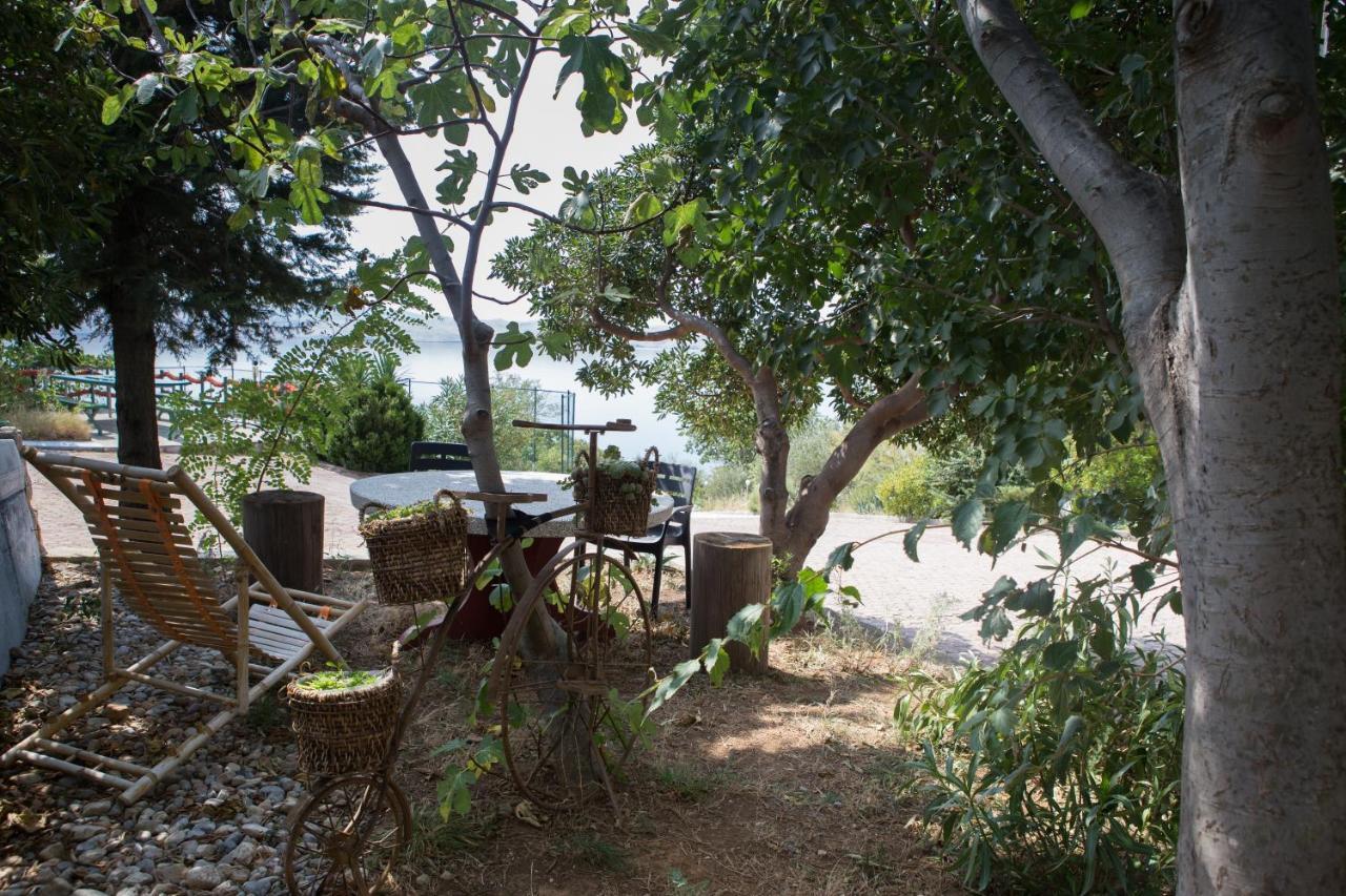 Resort Haus Toma Цезарица Екстериор снимка